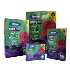 კოინდარი